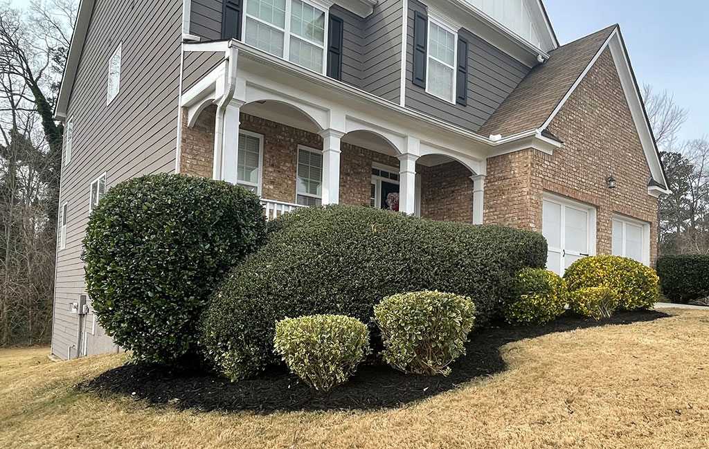 Hedges Shrub Trimming